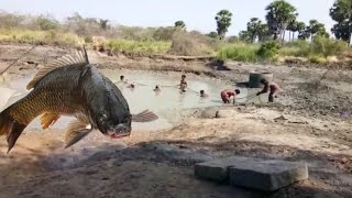 People catching Traditional Fishing villages pond /amazing village fishing catching /Amazing fish 🐠