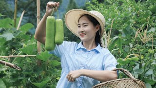 Grandma's Summer Soup Recipe | Young Calabash Pork Soup | Couple's Pastoral Life in Sichuan