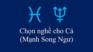 Cuối cùng, những người mạnh Song Ngư có thể chọn nghề 1 cách đơn giản