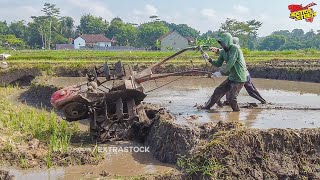 Traktor G1000 Pindah Lahan Langsung Garap Tanah Keras Banyak Airnya