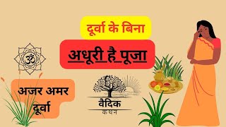 दूर्वा घास का धार्मिक महत्व | VaidikKathan #viral #youtube #video #trending #hindu #hindi #dharma