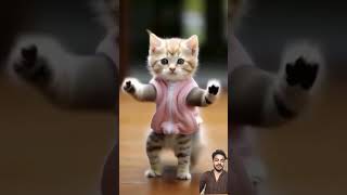 Cat Dancing 😆 || #cat #funny #yellowcat #dance #cute #cartoon #animation #shortsvideo #catlover