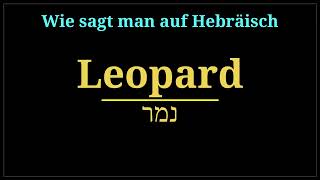 wie sagt man leopard auf hebräisch