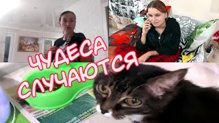 ВЛОГ Что купила мама?  Чудеса Наши покупки. Мы определились.