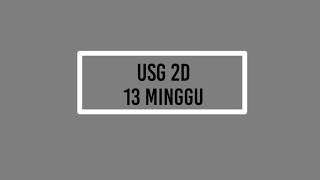 USG 2D | BAYI 13 MINGGU | PERKEMBANGAN KANDUNGAN