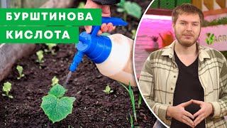 ЗАПАСАЙТЕ БУРШТИНОВУ КИСЛОТУ | Застосування на городі та в аптечці | Agro-Market.ua