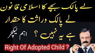 What  Is Share of Adopted child in inheritance #rightofadoptedchild