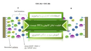 [ ظرفیت تبادل کاتیونی ] چیست؟  - نکات کشاورزی و باغبانی