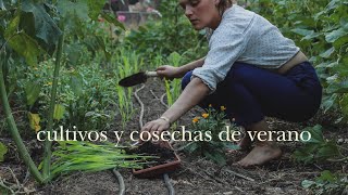 Cultivando Autosuficiencia - Cosecha de Patatas, Ajos, Calabacines y Tomates