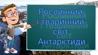 Рослинний і тваринний світ Антарктиди. Природознавство четвертий клас. ЯДС