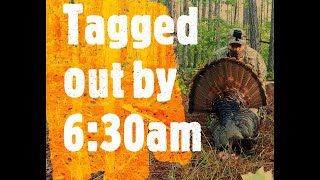 Turkey Hunt Tagged Out Last Day by 6:30am Live Fast Action