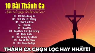 THÁNH CA TẤT CẢ LÀ HỒNG ÂN | Thánh Ca Chọn Lọc Hay Nhất Nghe Mỗi Ngày Để Thấy Bình An