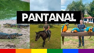 Um Dia no PANTANAL MS: Roteiro de Viagem com Bonito