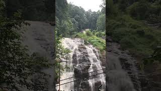 Coorg Dairies || #coorg #abbey #falls #india #shortvideo #viral ❤️