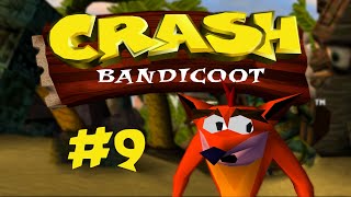 Crash Bandicoot #9 "FINAL 199"