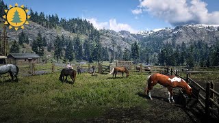 RED DEAD REDEMPTION 2 (PC) Ambience | Pronghorn Ranch | Horses | Day/Night Cycles