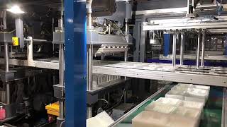 Automatic clam shell fast food container thermoforming machine.