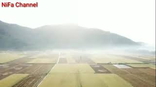 kabut di telapak tangan!!!!,❗❗    keindahan desa tempos, Lombok Barat,