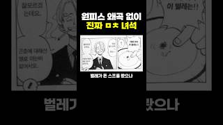 원피스) 왜곡 없이 진짜 ㅁㅊ 녀석