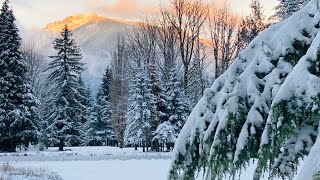 Happy Winter Solstice/ С Зимним Солнцестоянием ❄️☀️