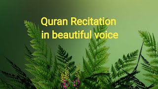 Quran Recitation in beautiful voice/Translation of quran quran recitation