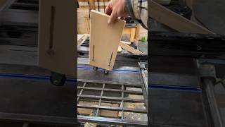 Master Your Cuts: DIY Ripping Jig for Table Saw!