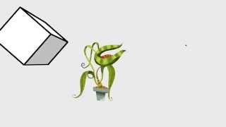 The Little Plant Animation