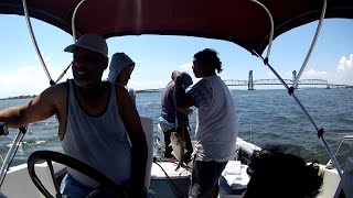 Reality Of Fishing 6   Took my nephews out and it was a porgy and bluefish kinda day.