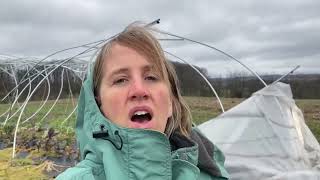 Hoophouse destroyed by winds