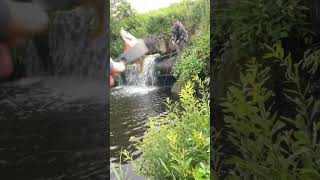 ПУШКА-ГОНКА-КЛЁВ на Речке!!! #мормышинг #fishing #рыбалка