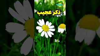 ذکر که ثوابش با خداست/ثواب بی نهایت #shorts