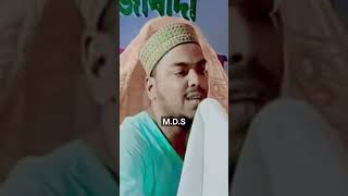 😡আমার মরহুম বাপ টাকে গাল খাওয়াচ্ছে😡আব্বাস সিদ্দিকী ভাইজান #ভাইজান #ভাইজান_হুজুর_জিন্দাবাদ