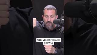 This Is Why Your Stomach Growls! | Huberman Explains