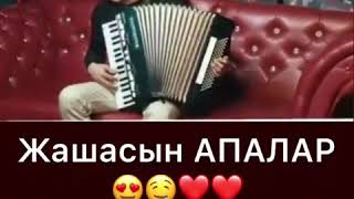 Апалар аман болсун