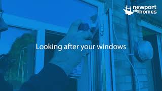 Looking after your windows