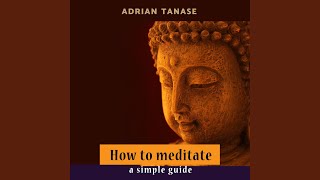 Chapter 2 - Why Meditate