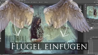 Flügel Overlays einfügen // Tutorial