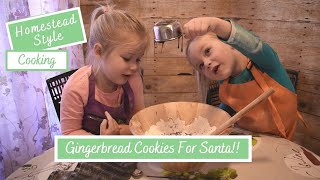 M&M Cook Gingerbread Cookies For Santa!!