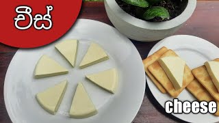 නැවුම් කිරි වලින් ගෙදරදී ම ච්ස් හදමු / How to make processed cheese at home / Homemade Cheese Recipe