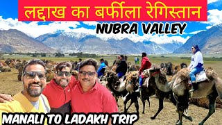 लद्दाख का बर्फीला रेगिस्तान | NUBRA VALLEY LEH LADAKH #manali #ladakh #nubravalley