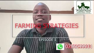 STRATEGIES IN FARMING!!