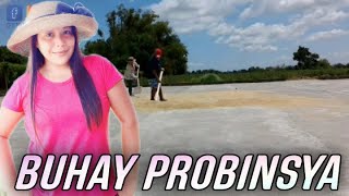 BUHAY PROBINSYA|NAGBILAD NG PALAY AT NAGPAKONO |BAGONG ANI NA BIGAS|Geng Castillo