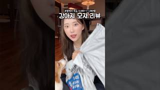 쿠팡 강아지 모자 리뷰!!🐶 당신의 최애 코코를 투표해주세요✨