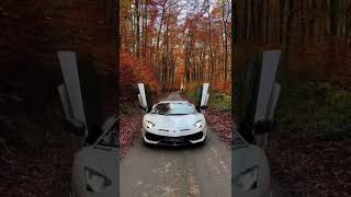 Lamborghini Rider please subscribe a bro