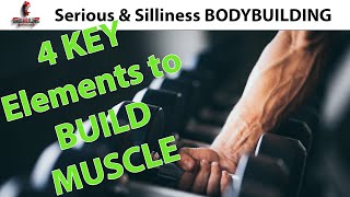 How to Build Muscle in the Off-Season Bodybuilding Tips Weight Gain & Fat Loss Nutrition Safety Diet