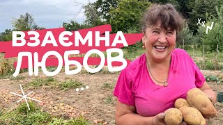 Наталя Фаліон. Лісапетний батальйон - Взаємна любов