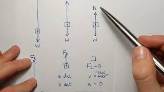 Wk2 Fri2: Terminal velocity