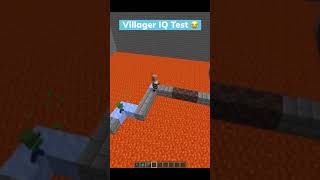 Minecraft Villager IQ Test Challenge😂 #Shorts