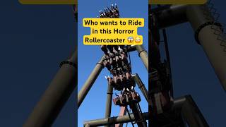 Is this Rollercoaster TOO SCARY?🫣 #rollercoaster #ride #shorts