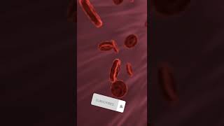 Red blood cells | Rbc | Erythrocyte | Blood cells | Circulating Red cells | #shorts